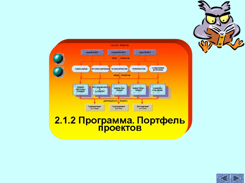 2.1.2 Программа. Портфель проектов